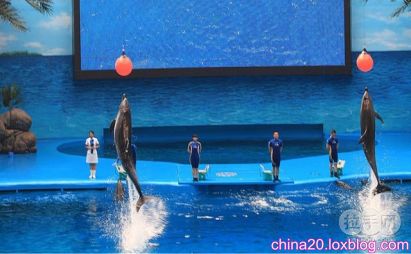 عکس های زیبا از آکواریم هایانگ گان پکن(3)- Haiyangguan Aquarium beijing